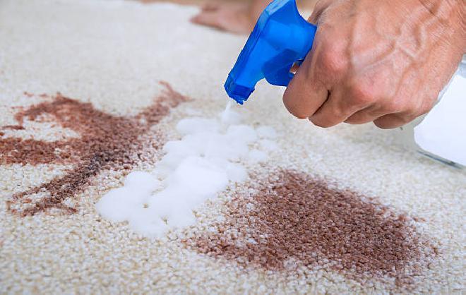 Upholstery cleaning services in Rosedale - Professional furniture care